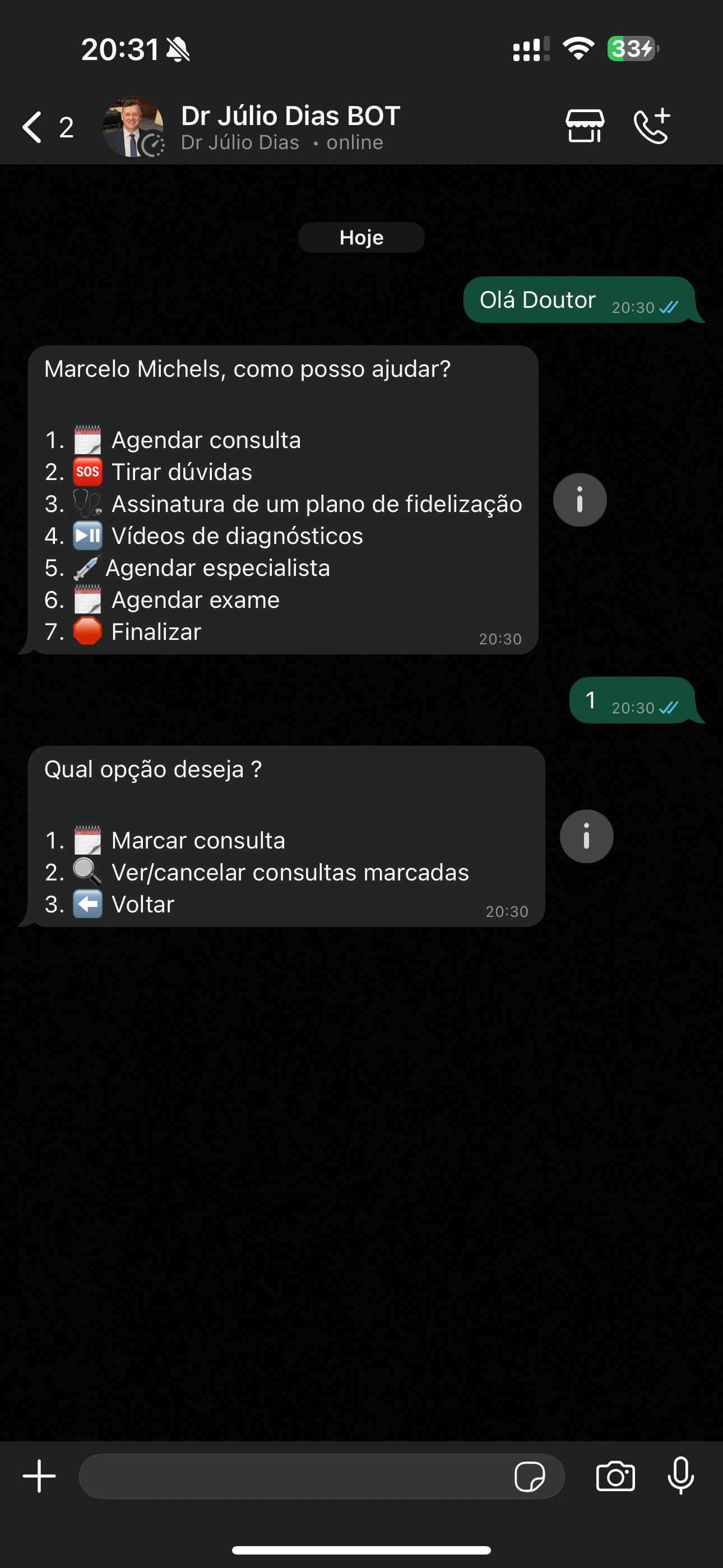 Demonstração do chatbot